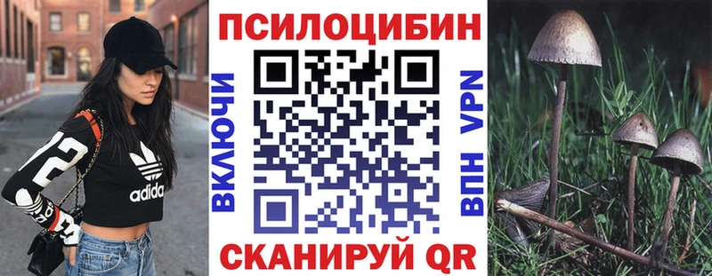 Галлюциногенные грибы прущие грибы  Южа 